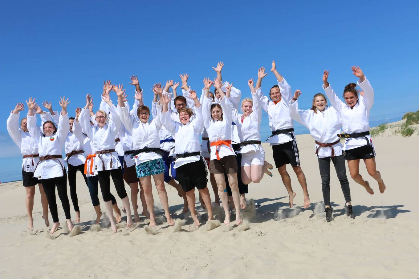 http://test.tus-borkum.de/wp-content/uploads/2025/03/csm_7460-Judo_Junior_Akademie_2017_Borkum__5__d4ea38675e.jpg