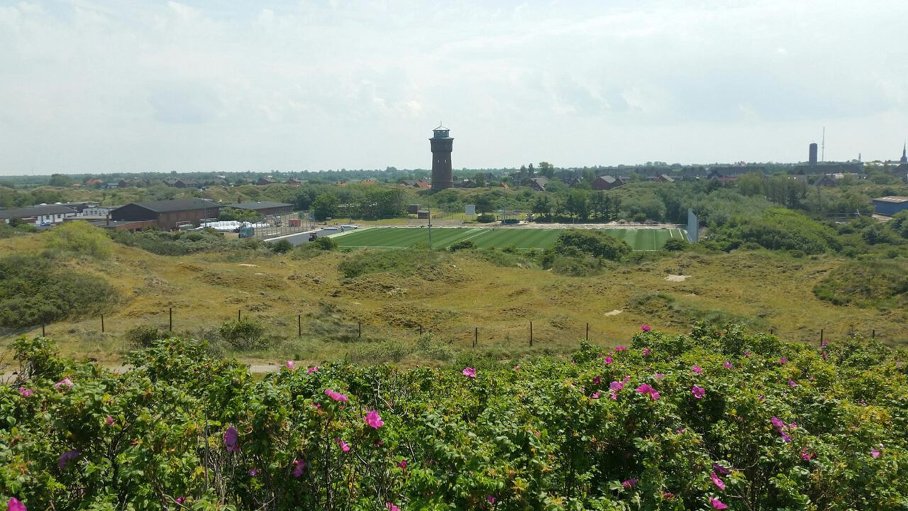 Kunstrasenplatz Borkum